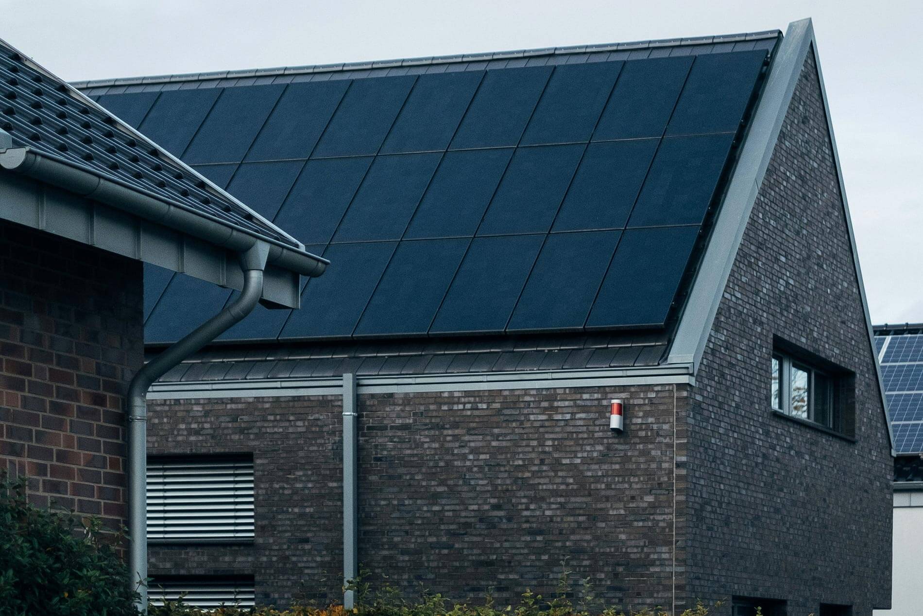 exclusive insights what sets your nearest solar panel installers apart